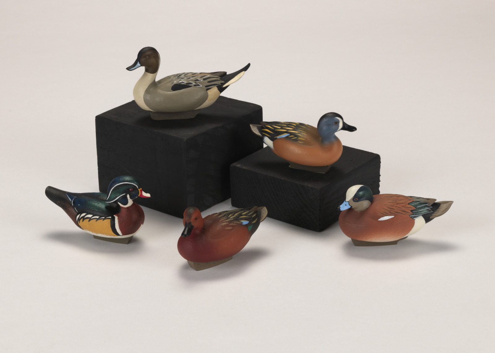 Five carved miniature duck decoys, arranged facing various directions and depicted as if floating on water.