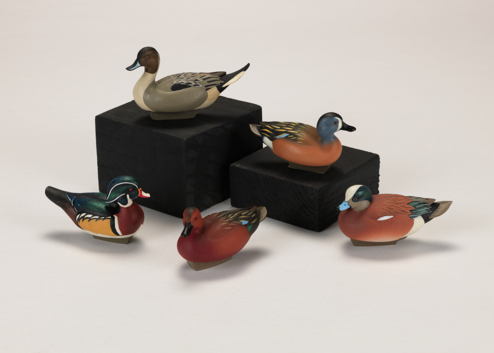 Five colorful duck figurines are arranged on and around two black rectangular blocks against a neutral background.
