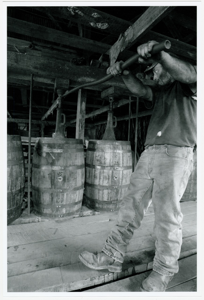 A worker fills wooden barrels with a long pipe in a rustic, wooden interior. The barrels are marked and lined up on a wooden floor, and the worker wears jeans and boots while concentrating on his task.