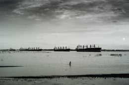 2015 0364 51 o6