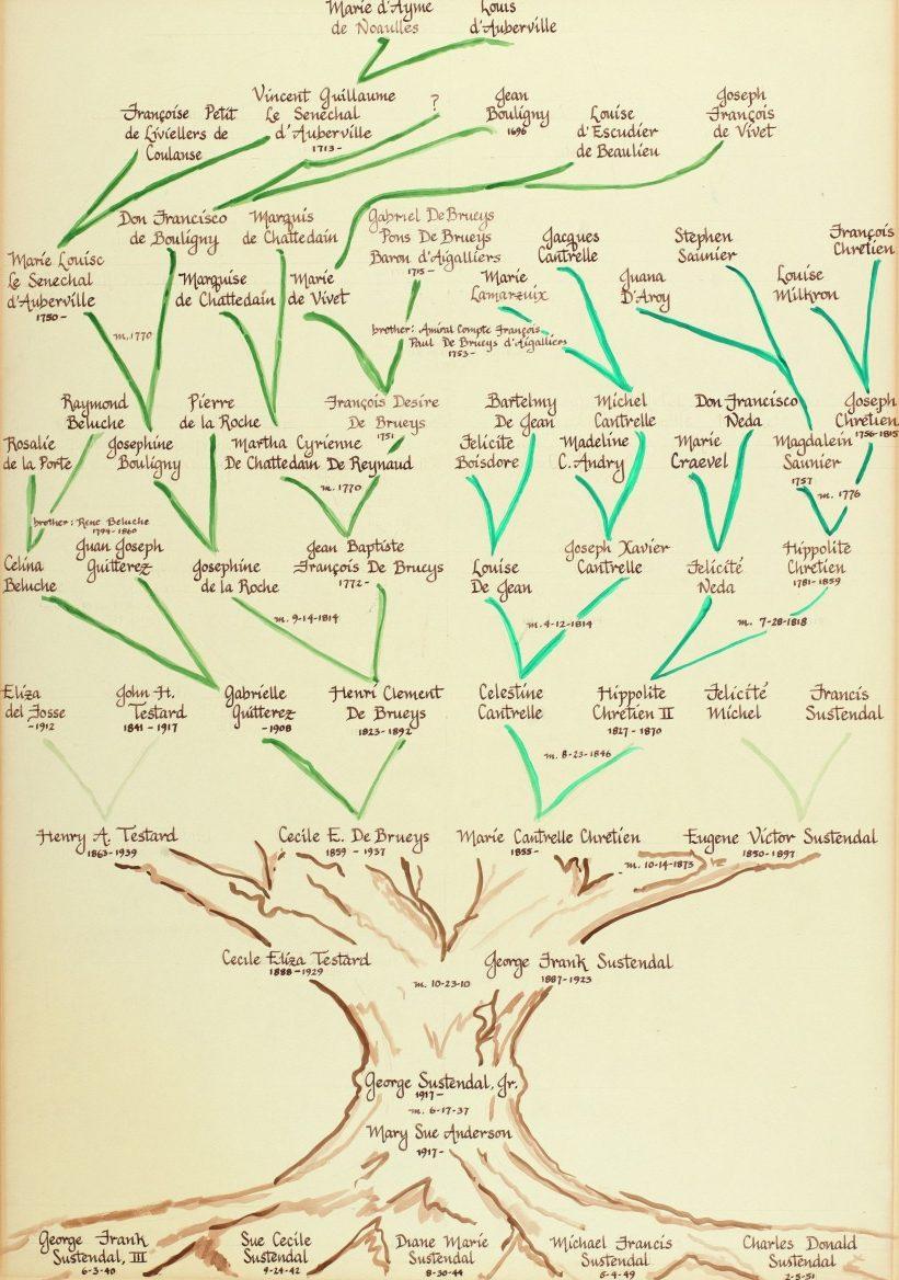A family tree diagram with handwritten names connected by green and brown lines. The tree has multiple branches, showing familial relationships over several generations. Names, dates, and connections are detailed in cursive writing.