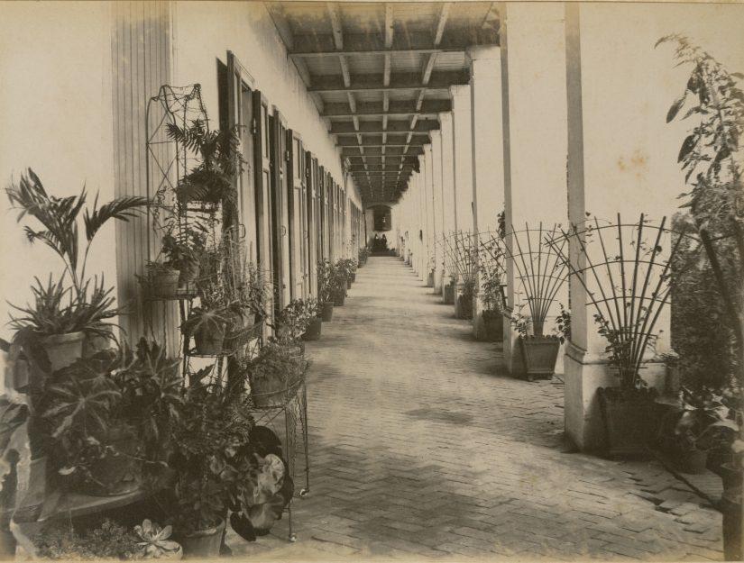 2018 0242 11 web - cropped