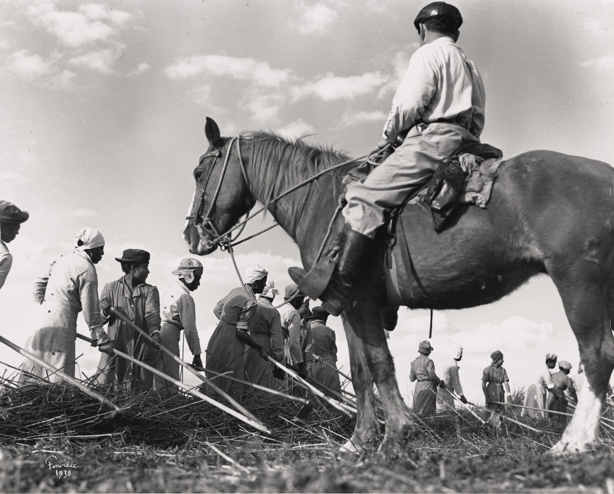 A historical black-and-white photo shows a group of people working in a field, harvesting crops. A person is seated on a horse, observing the laborers. The scene is set under a partly cloudy sky.