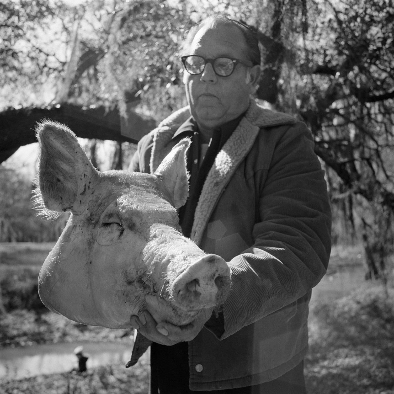 A person wearing glasses and a jacket holds a large pig head outdoors. Trees and a river are visible in the background, suggesting a rural setting. The image is in black and white.