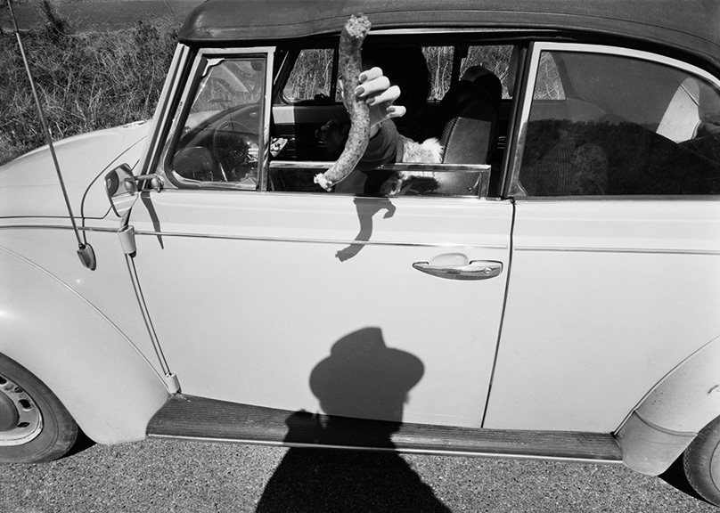A hand is holding a slender, curled object out of the window of an old car. The shadow of a person wearing a hat is cast on the ground, reflecting onto the car door. The scene suggests a sunny day in a casual setting.