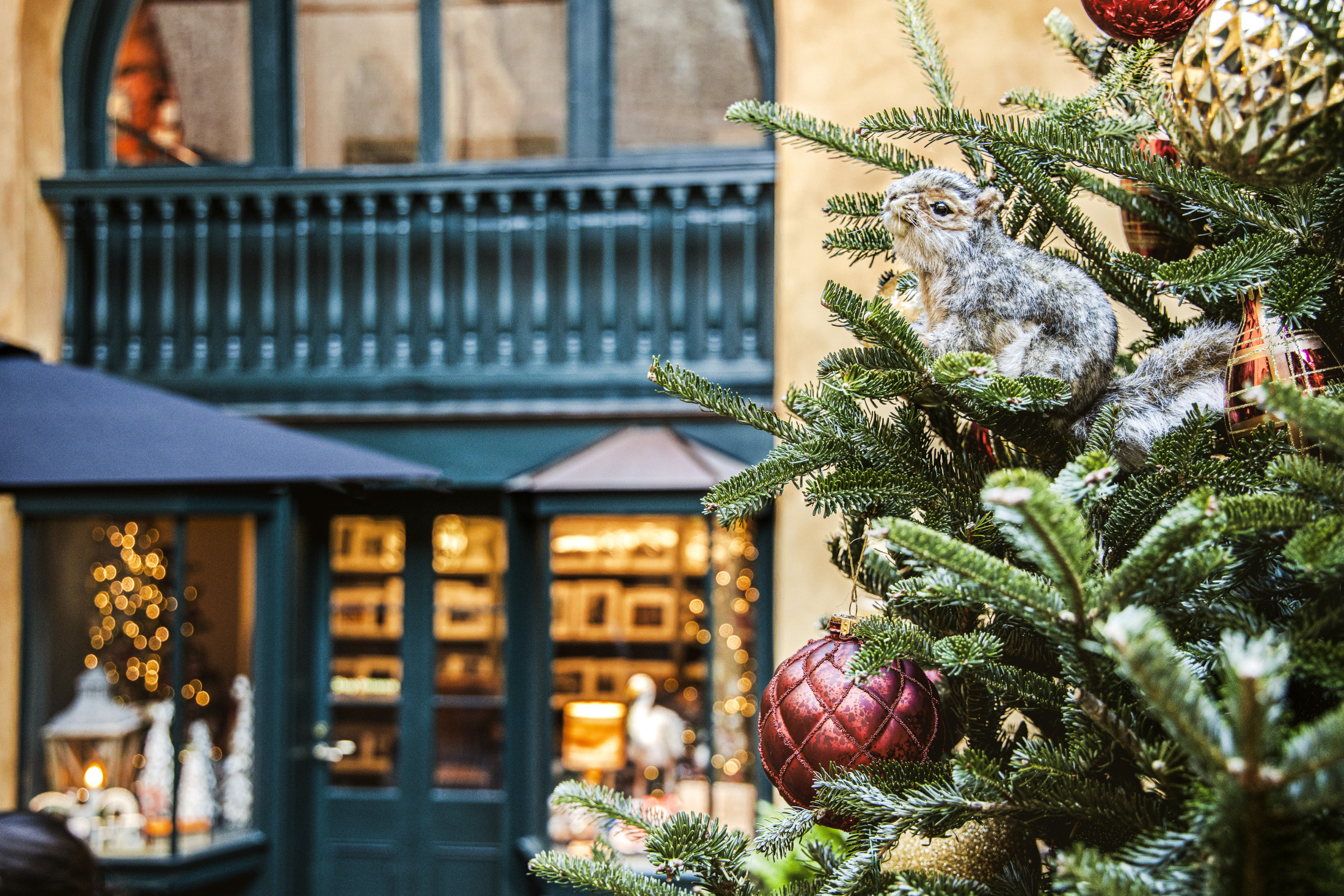 A festive scene featuring a Christmas tree adorned with red and gold ornaments and a realistic squirrel decoration. The background shows a warmly lit building with blue-green details and twinkling lights.
