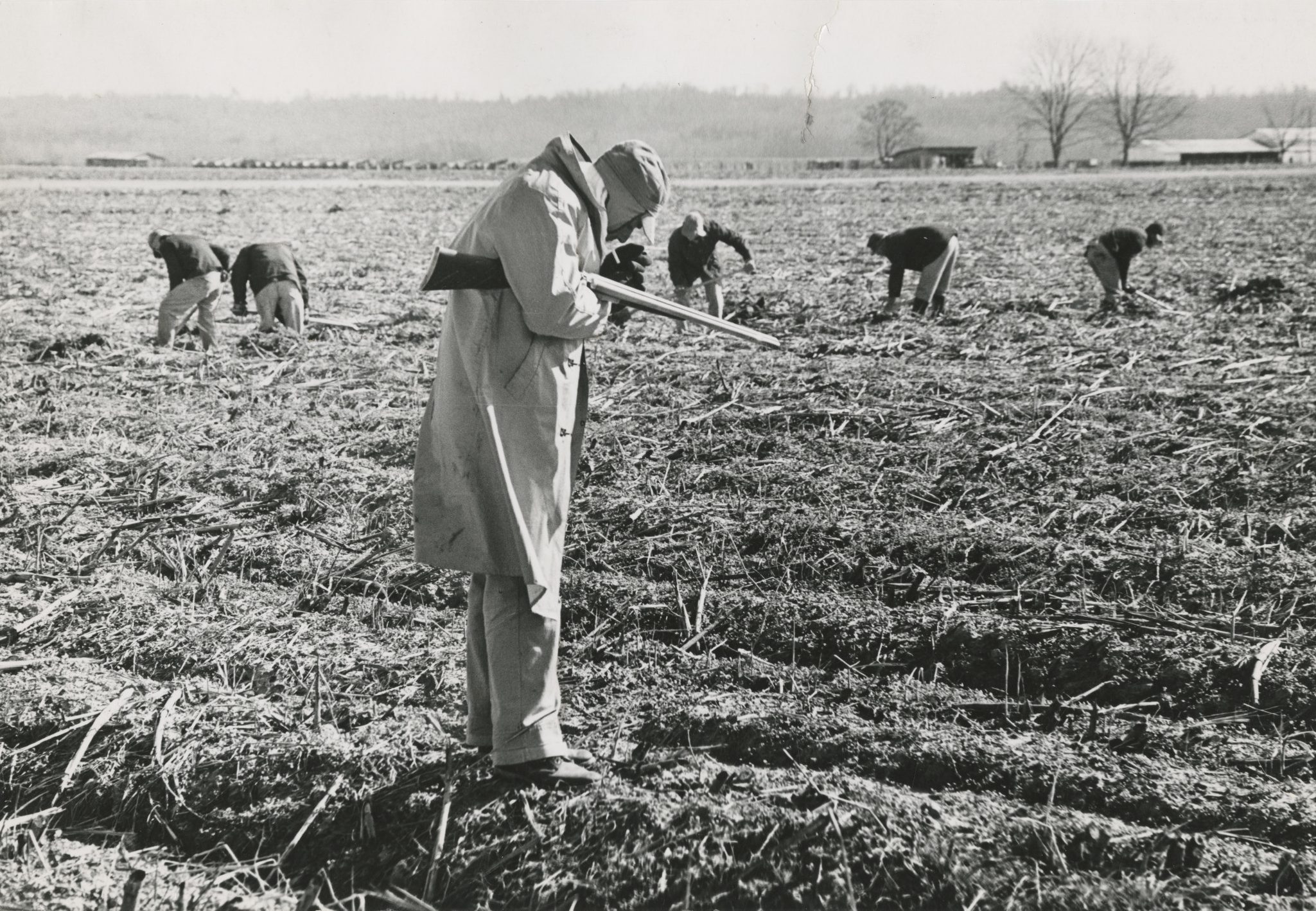 A person wearing a coat holds a rifle while standing in a field. Several others in the background are bent over, working the land. The landscape is barren, suggesting winter or early spring. Sparse trees and a building are visible at a distance.