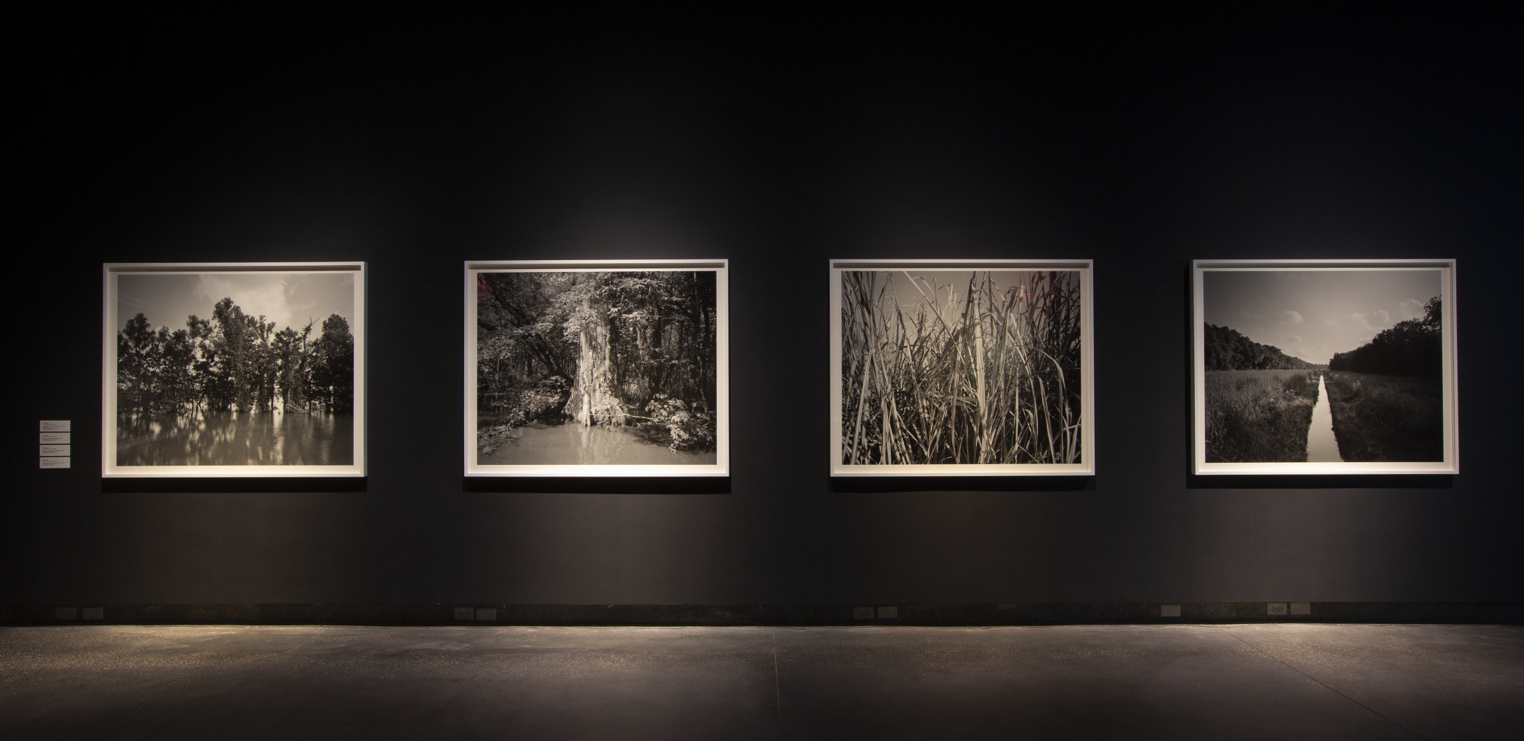 A dimly lit art gallery features four large black and white landscape photographs on a dark wall. The images depict various natural scenes, including trees, a waterfall, tall grass, and a path through a field.