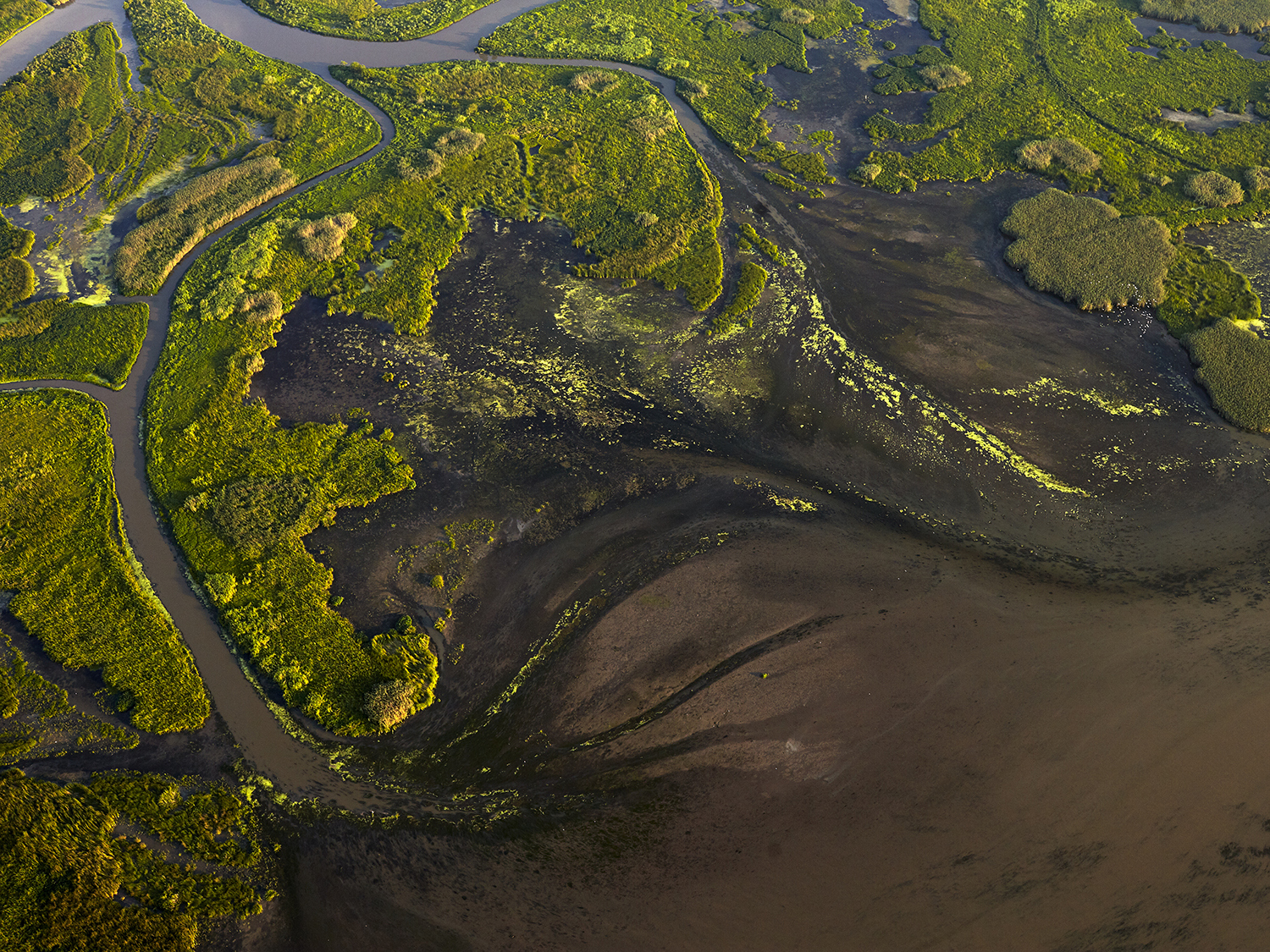 Aerial view of a lush green marshland with winding waterways creating intricate patterns at Fort St. Phillip, Louisiana. The landscape features patches of dark mud and dense vegetation, capturing the organic texture and flow of the wetland ecosystem.