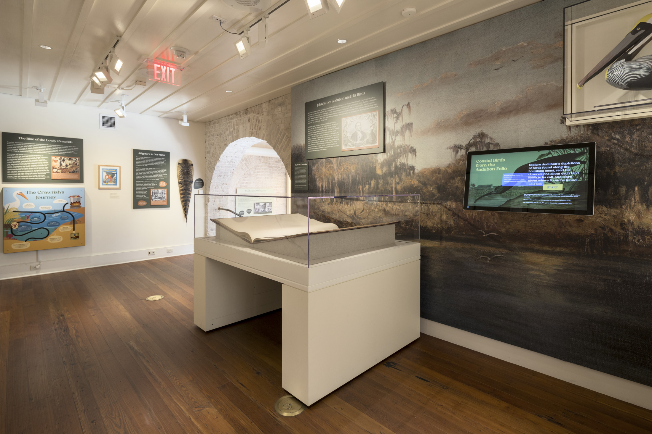 20240703 A Vanishing Bounty Installation AJ022 o6