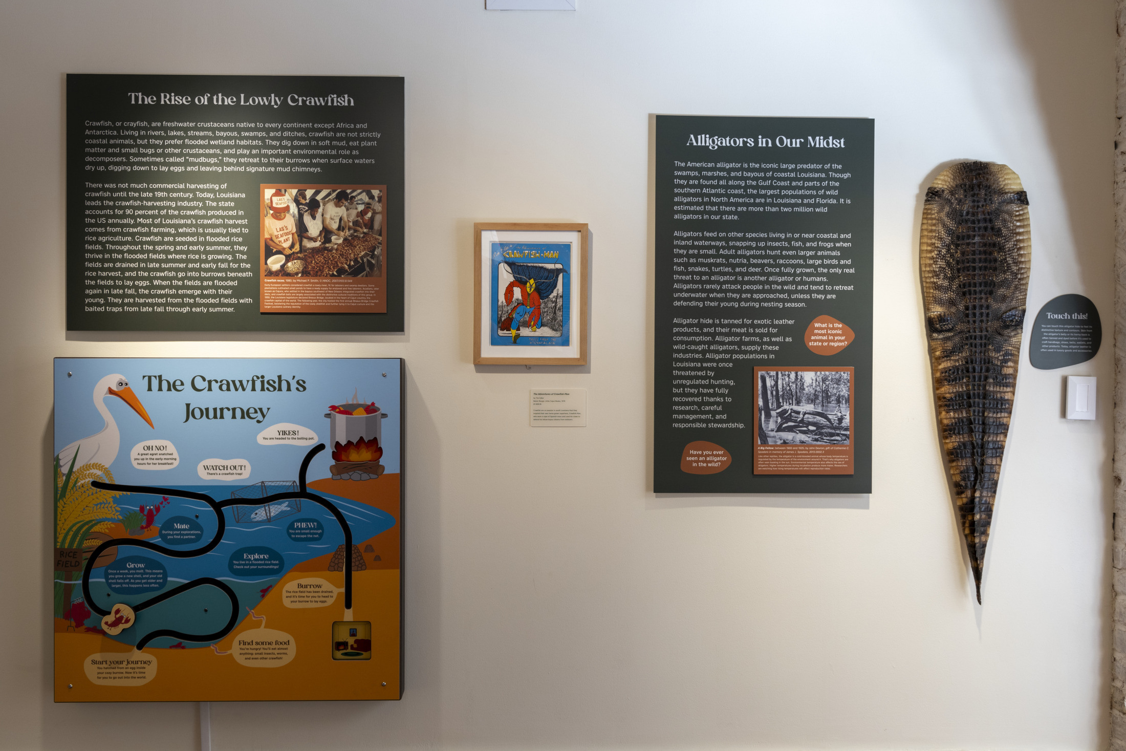 20240703 A Vanishing Bounty Installation AJ046 o6