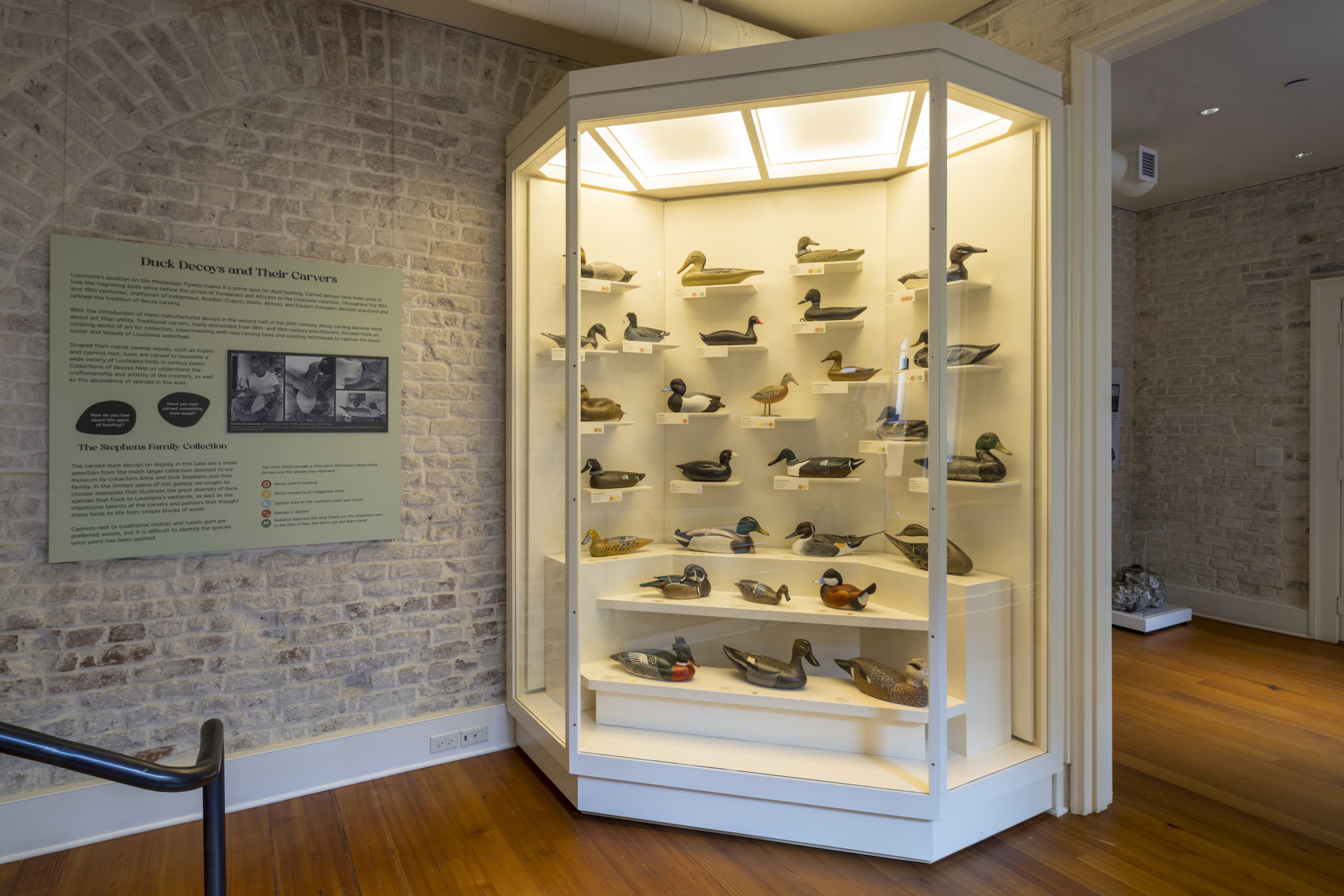 20240703 A Vanishing Bounty Installation AJ057 o6