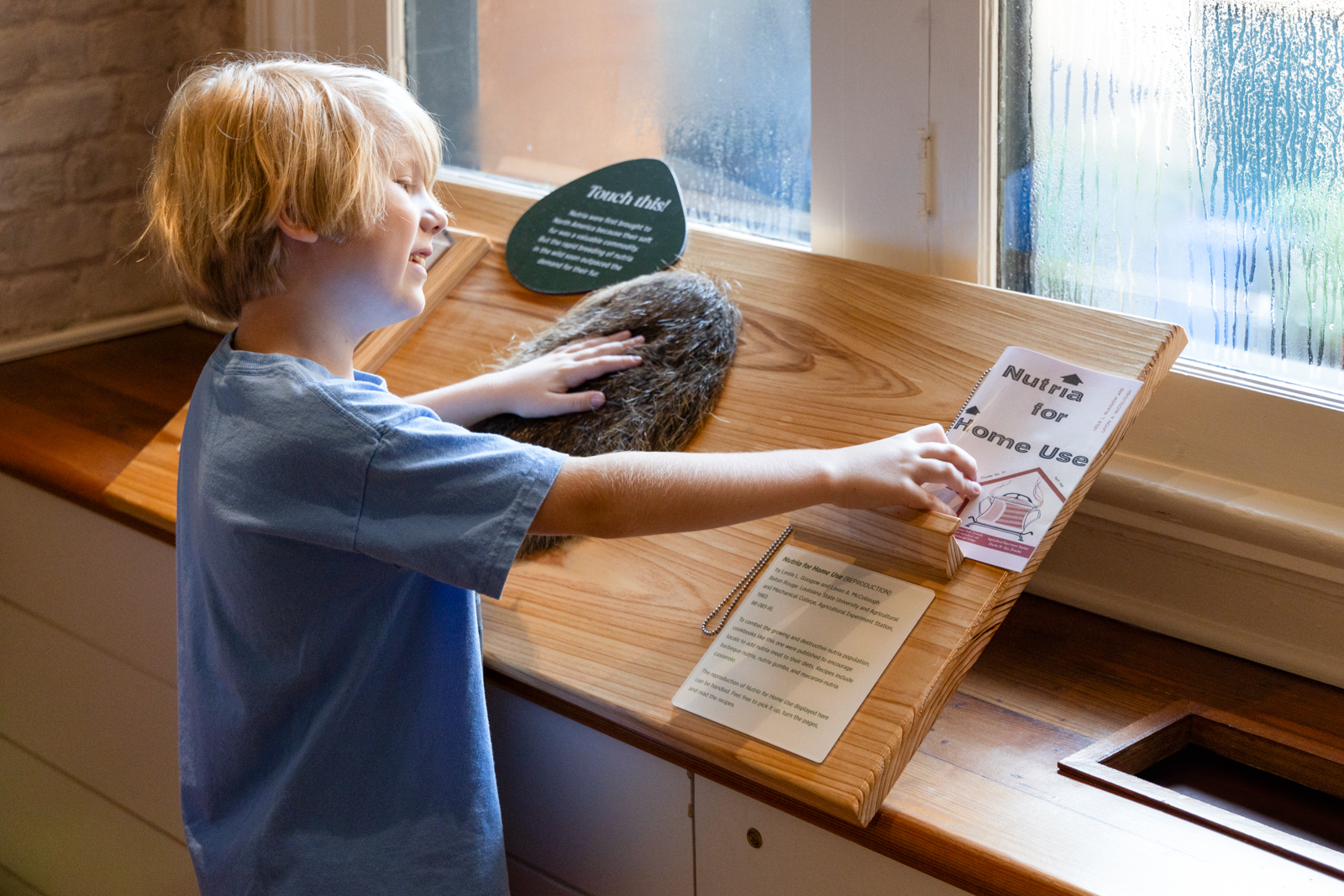 A young child with blonde hair, wearing a light blue shirt, is smiling and touching a display with a brown, furry object at a museum. There is a brochure holder titled Nutria for Home Use next to the display. Light streams through a window behind them.