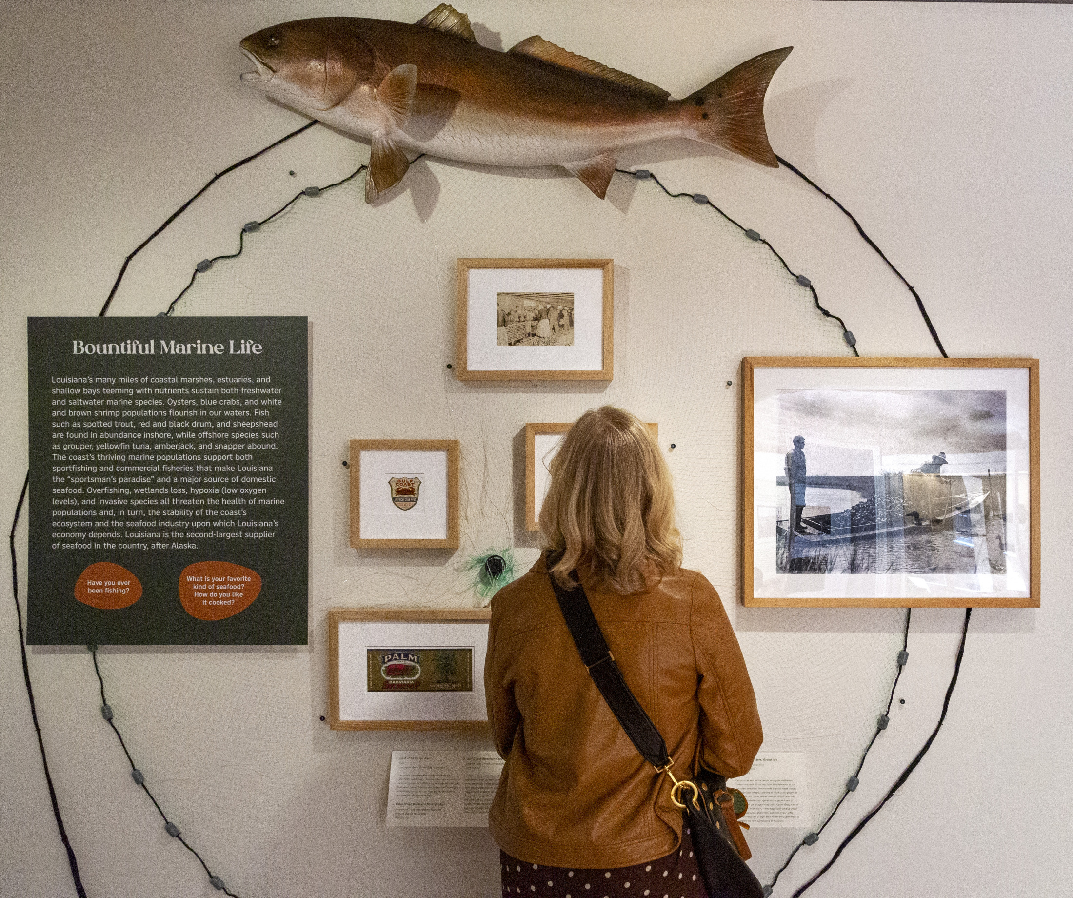 A woman reads display, part of the "A Vanishing Bounty" exhibition at the Historic New Orleans Collection.