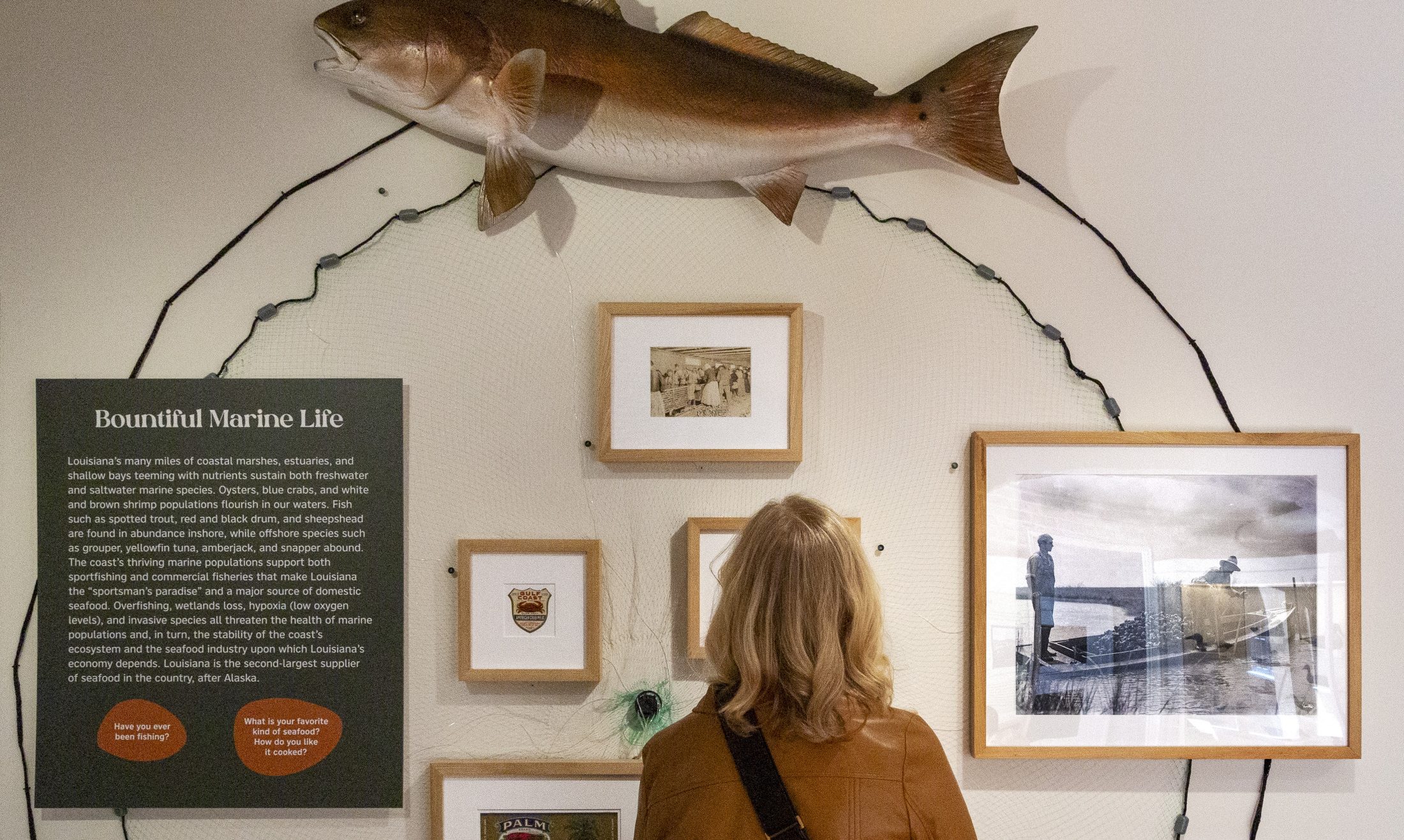 A woman reads display, part of the "A Vanishing Bounty" exhibition at the Historic New Orleans Collection.