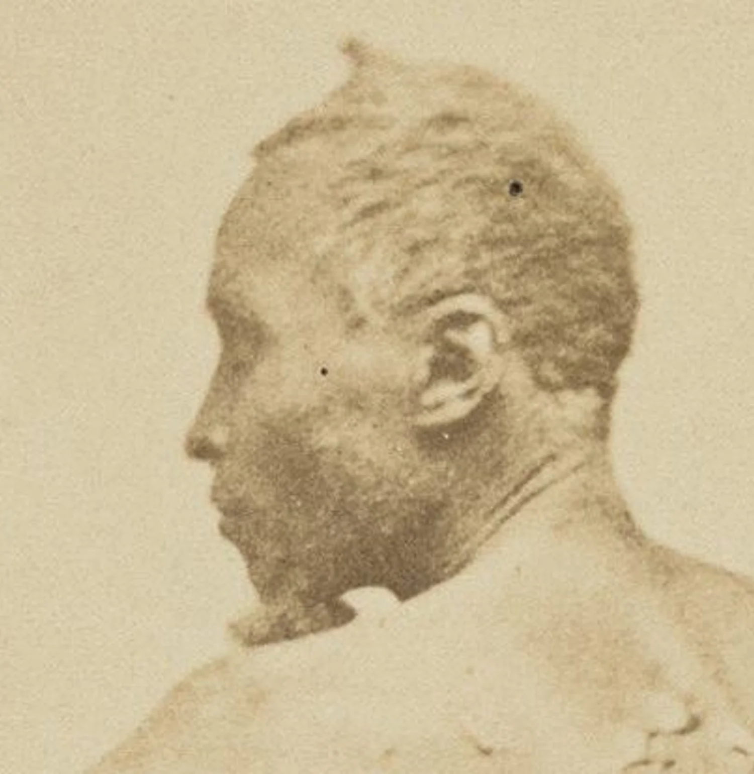 Scourge Back “The Scourged Back” | Historic New Orleans Collection