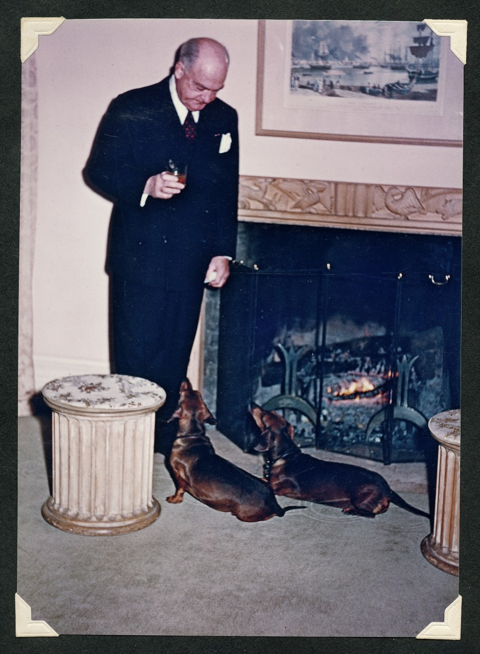 An elderly man in a suit holds a drink while looking down at two dachshunds by a fireplace. The room has a cozy ambiance, with an ornate framed picture above the fireplace and a decorative cylindrical stool nearby.