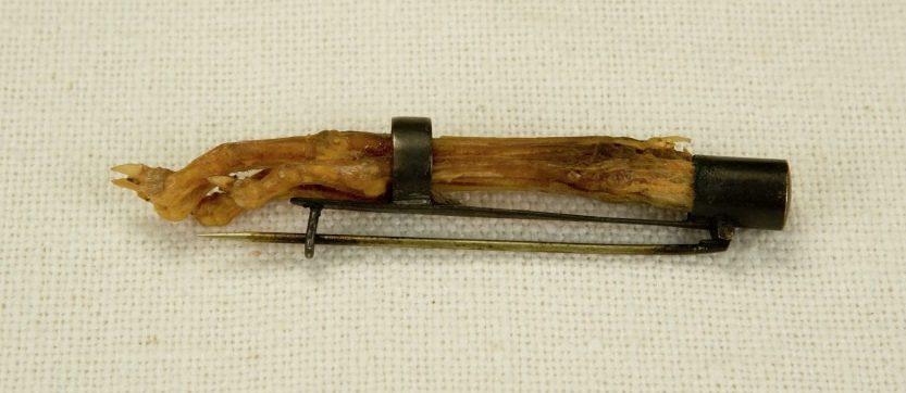 A brooch featuring a dried seahorse attached to a metal pin, set against a textured white background.