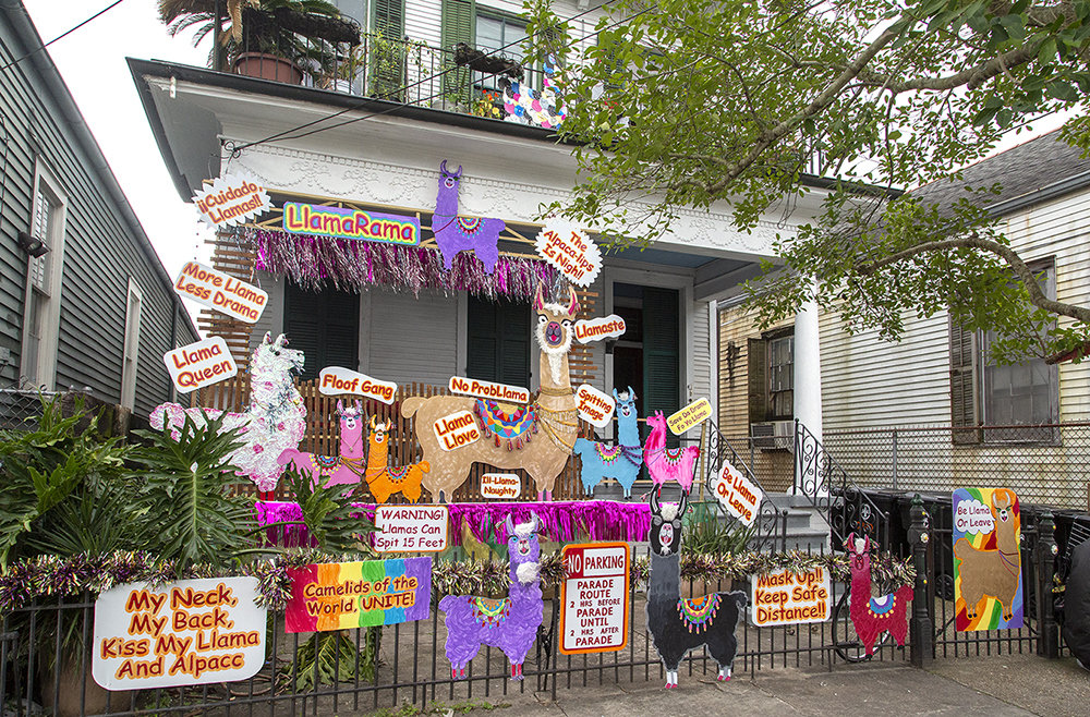 A two-story house is decorated with colorful llama-themed signs and cutouts. The signs include various llama puns and festive decorations, such as tinsel. The front yard is filled with quirky and humorous signs, creating a playful atmosphere.