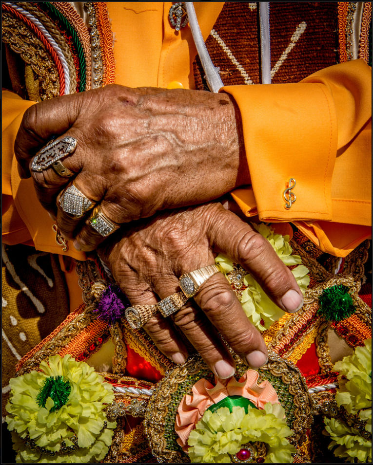 A close up photo shows the hands of Ed Harrison along with his orange second line outfit, detailed flower adornments, and rings on most of his fingers.