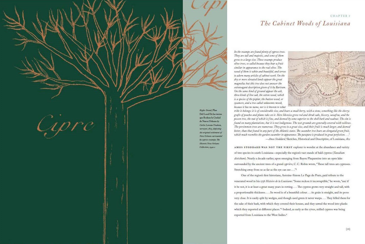 A two-page spread from a book titled The Cabinet Woods of Louisiana. The left page features an artistic outline of a tree labeled Cipre, and the right page contains text with a decorative map illustration.