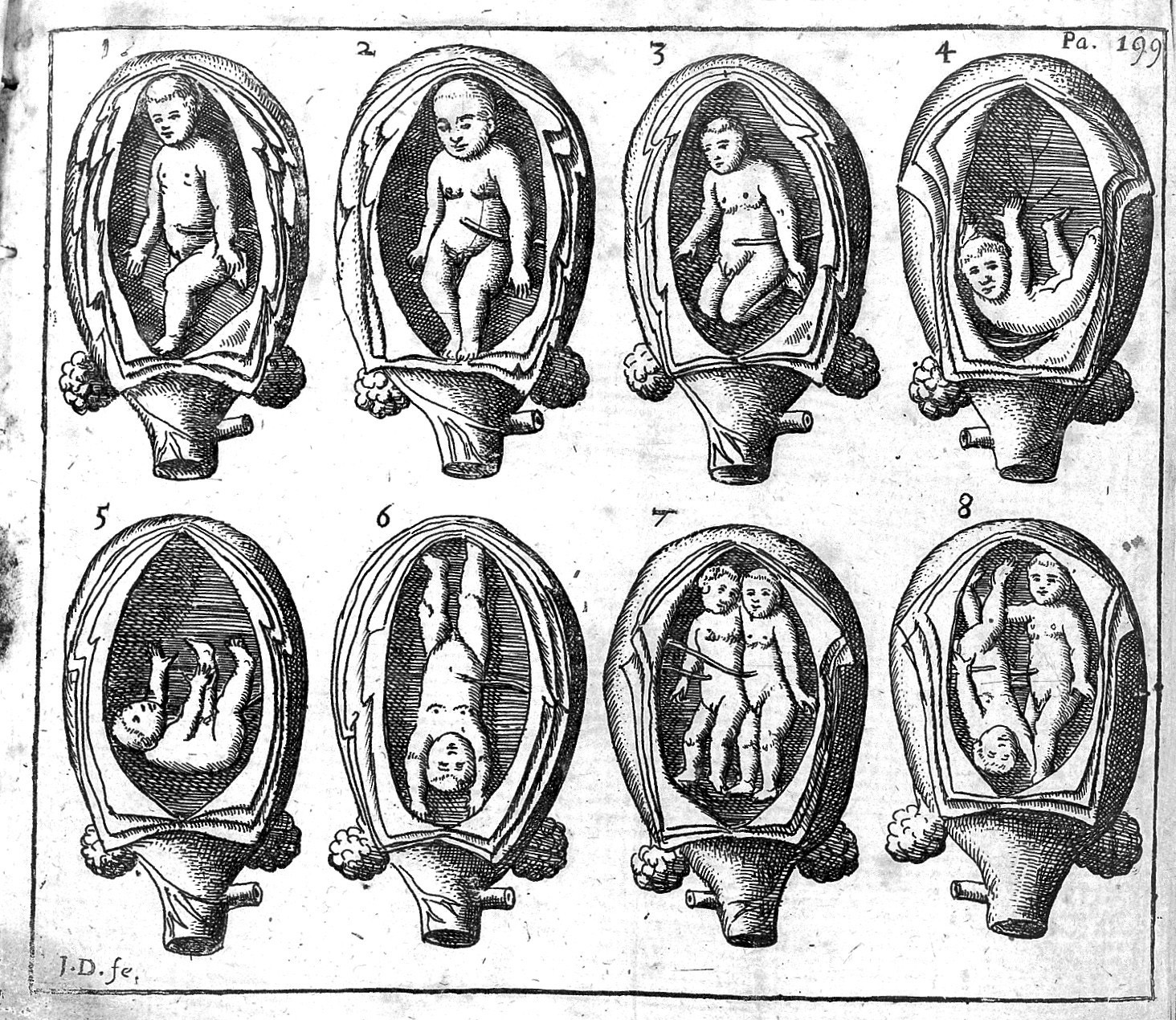 An 18th-century illustration depicting eight different fetal positions within the womb, shown in oval shapes resembling cross-sections of the uterus. Each position is labeled with a number from 1 to 8.