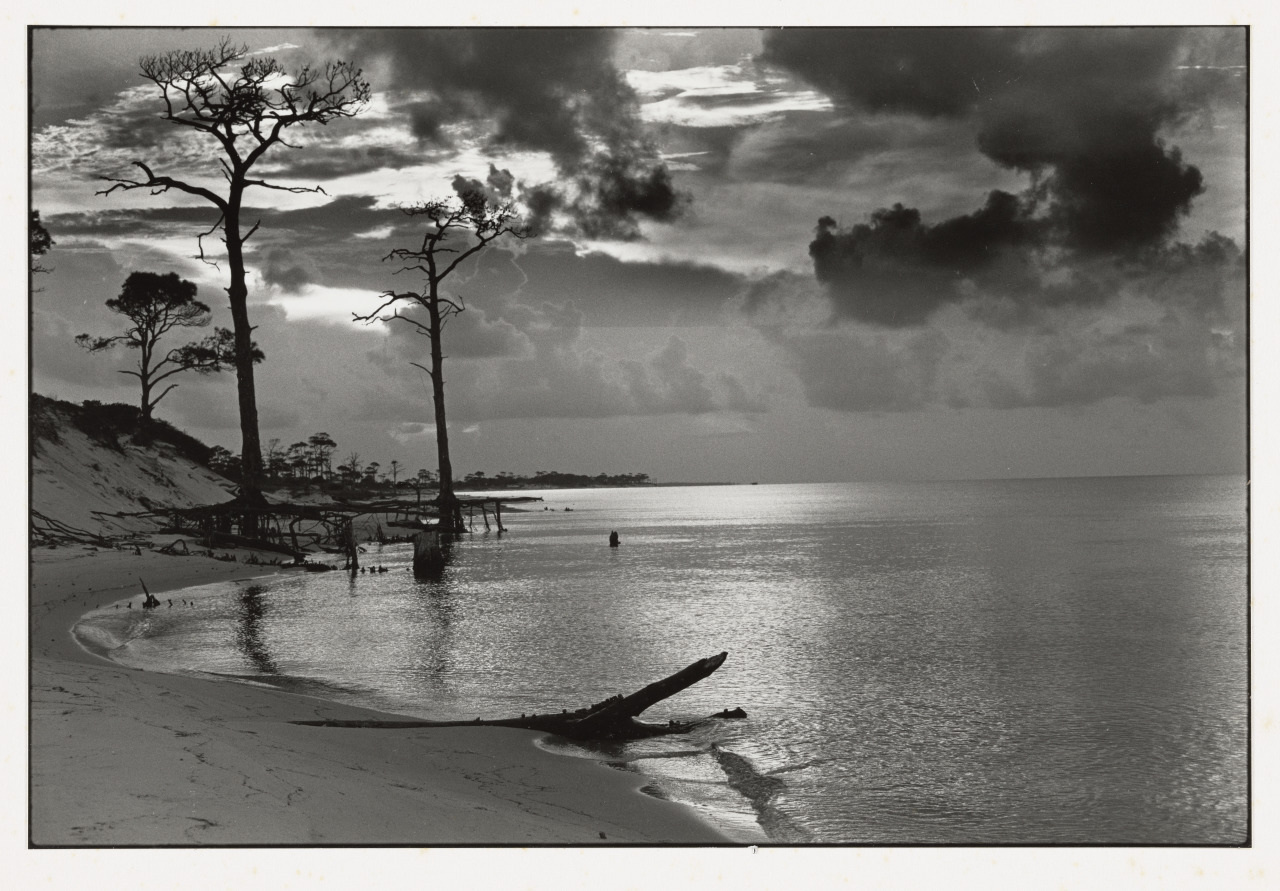 La Lens Horn Island Bradburn 2015 0035 1 2 1