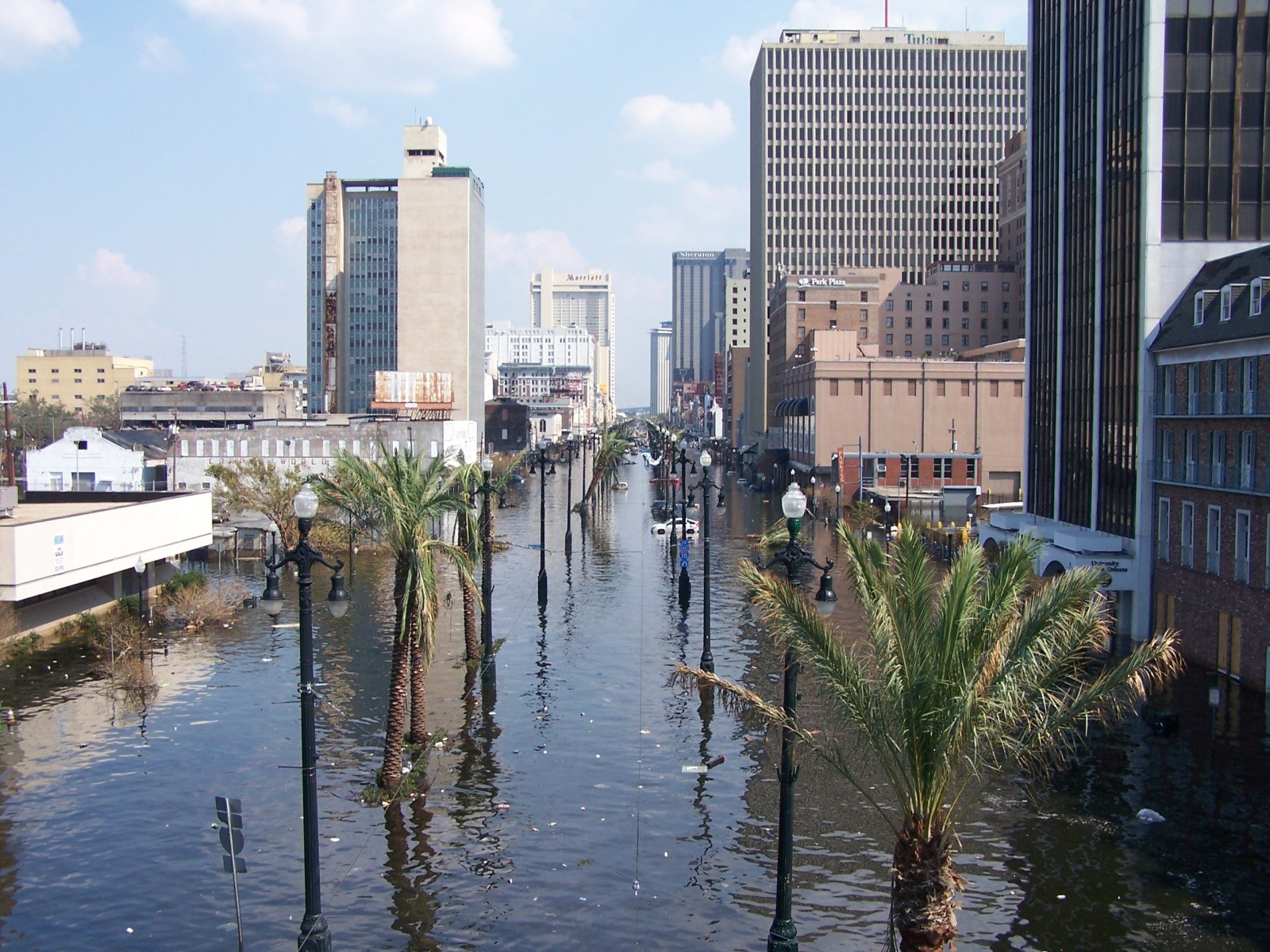 Flooded city street with submerged cars, flanked by tall buildings. Palm trees rise above the water, and the skyline is visible in the background under a partly cloudy sky.