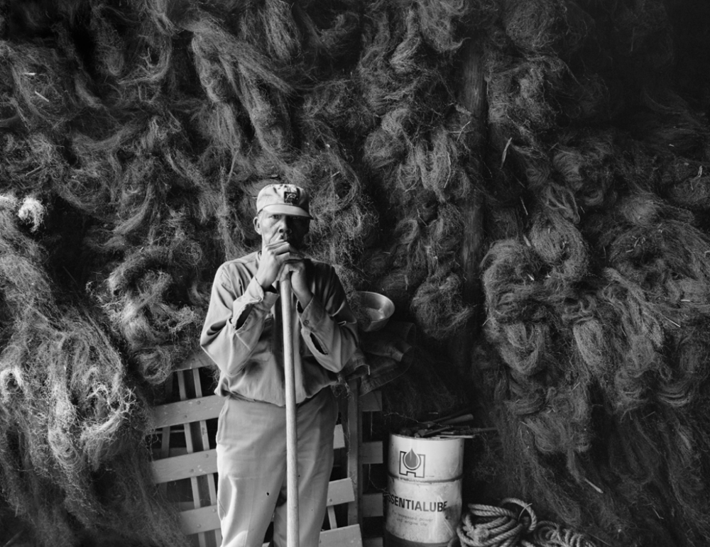 A man wearing a hat stands in front of a large pile of tangled ropes. He leans on a wooden stick and gazes thoughtfully. The background is dimly lit, adding a dramatic contrast to the scene.
