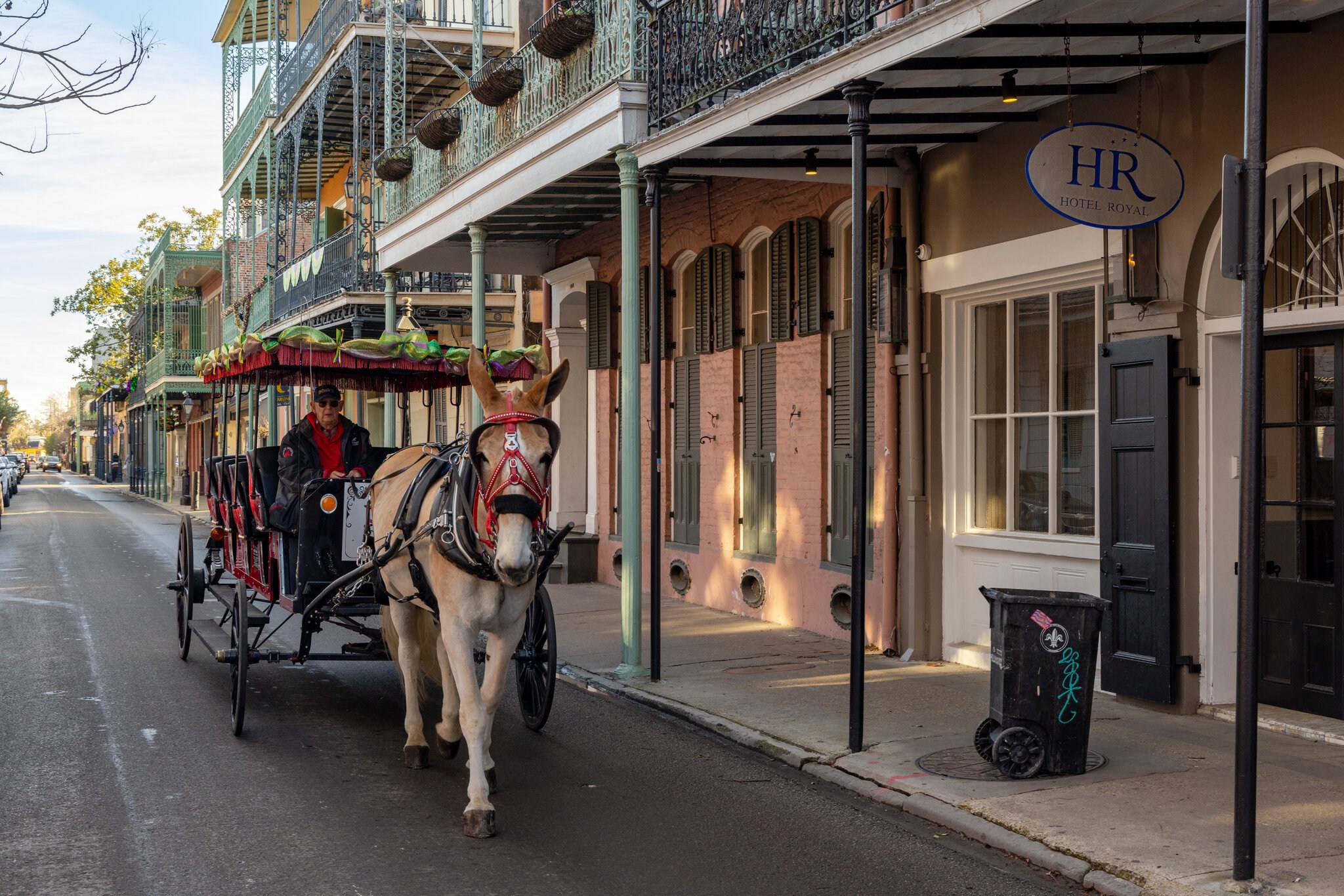 A horse-drawn carriage travels down a street lined with colorful buildings and wrought-iron balconies. A driver in a red jacket guides the horse past the Hotel Royal sign. The scene reflects a charming, historic atmosphere.
