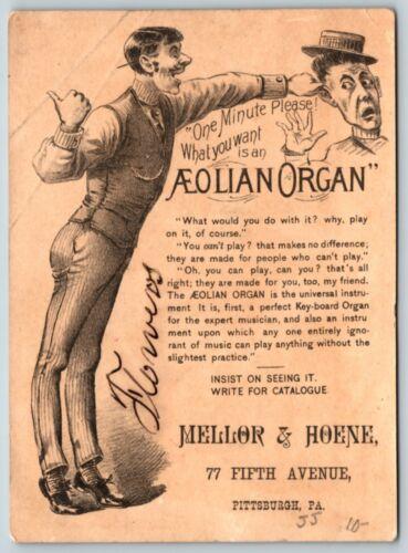 A vintage advertisement featuring a man gesturing toward a graphic of an Aeolian Organ. The text highlights the organs universal appeal and encourages readers to inquire for a catalogue. The company, Mellor & Hoene, is located at 77 Fifth Avenue, Pittsburgh, PA.
