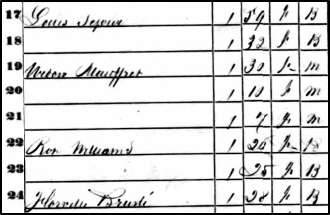 Detail from the 1850 census shows Rose appears with the surname Williams in line 22.