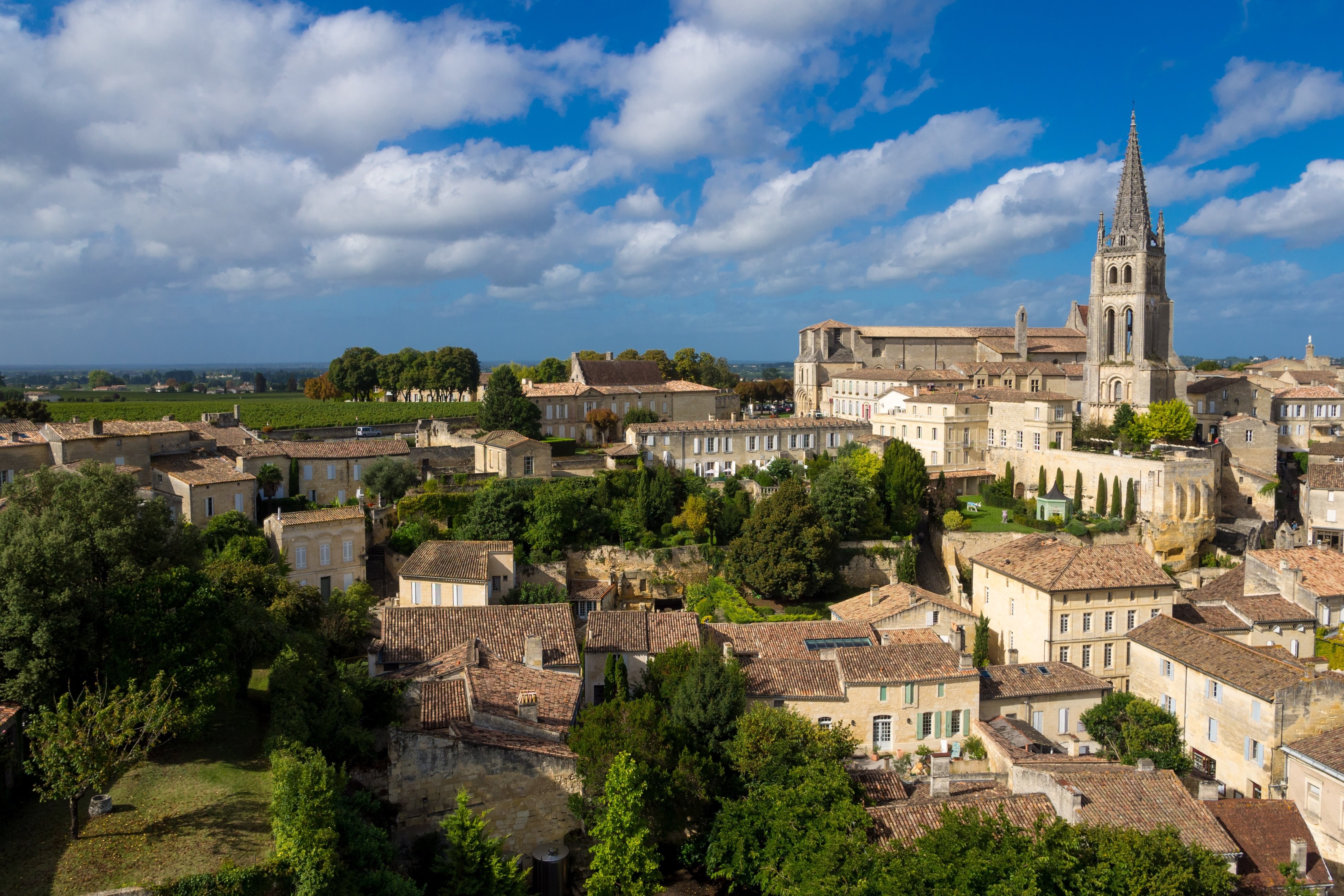 A scenic view of a historic town with stone buildings and a prominent church spire under a partly cloudy blue sky. Lush greenery surrounds the town, and vineyards can be seen in the distance.