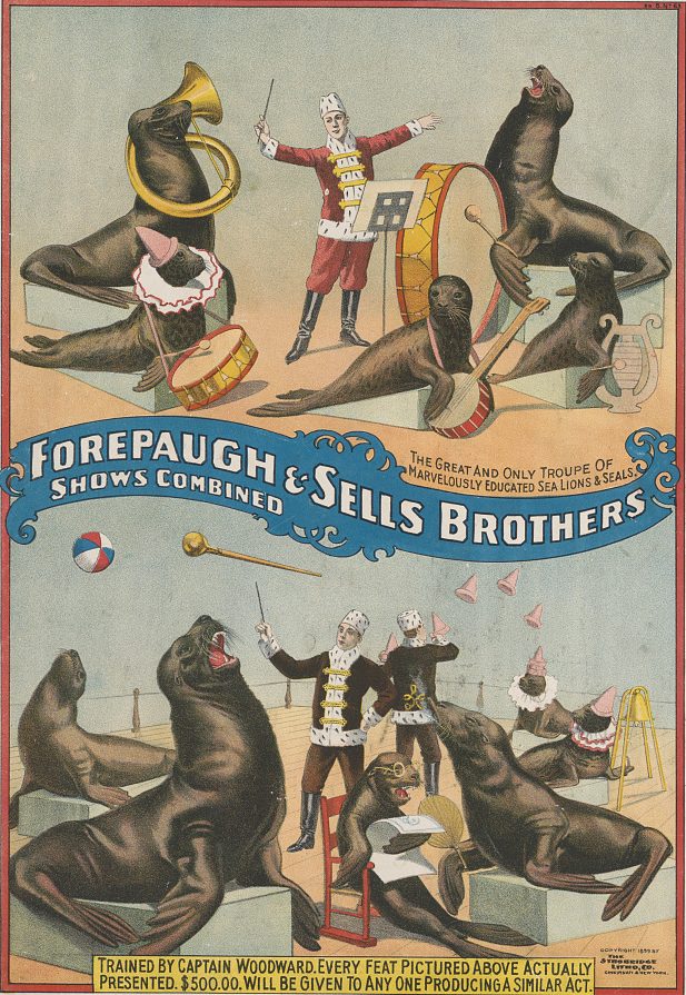 Sells Brothers seals