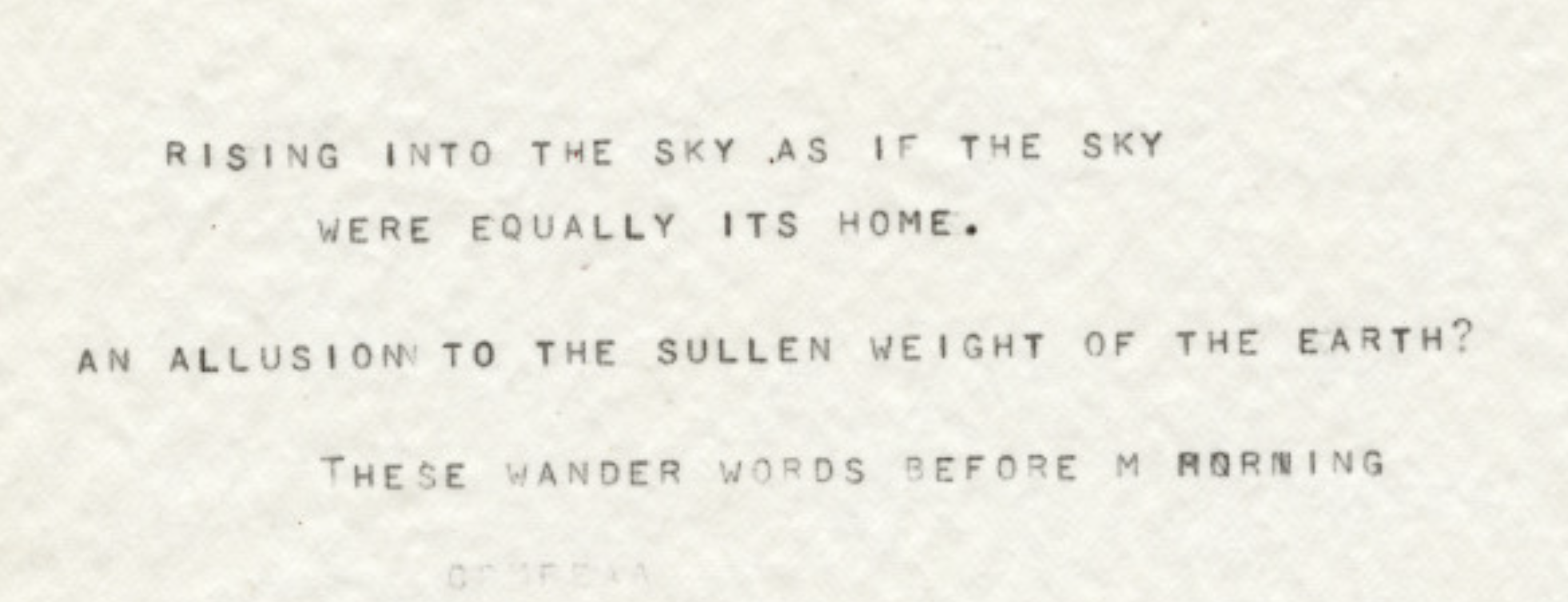Typed text reads: Rising into the sky as if the sky were equally its home. An allusion to the sullen weight of the earth? These wander words before m orning.