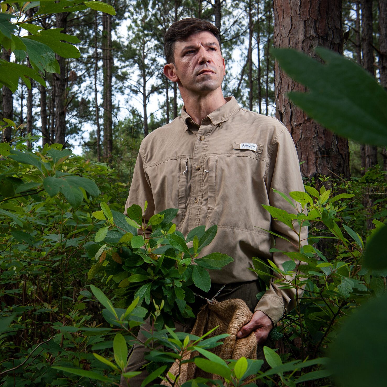 Headshot for Dustin Fuqua. He is standing in woods gathering file, an ingredient in gumbo.