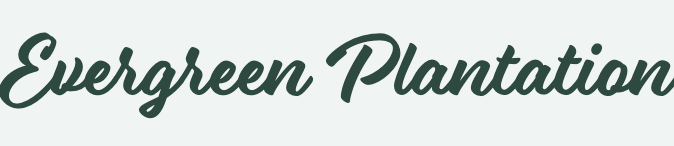 Evergreen Plantation