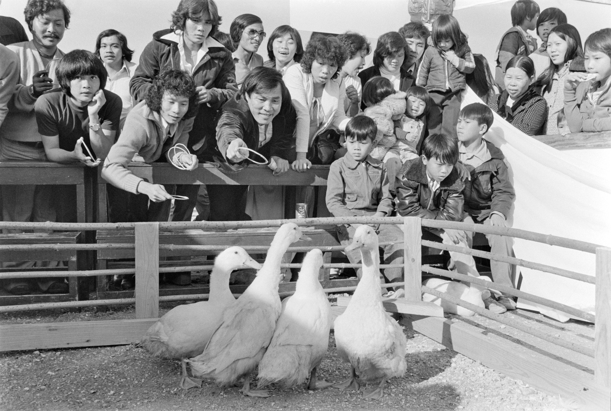 A vintage black and white photo shows a group of Vietnamese Americans engaged in a ring toss game to win a live duck at a Christmas Day youth fair. The image shows four ducks in the foreground, with a group of smiling community members about to toss their rings.