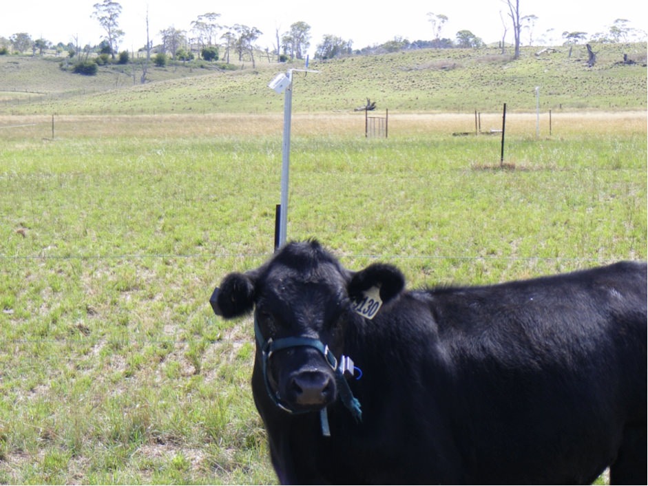 CSIRO sensor networks