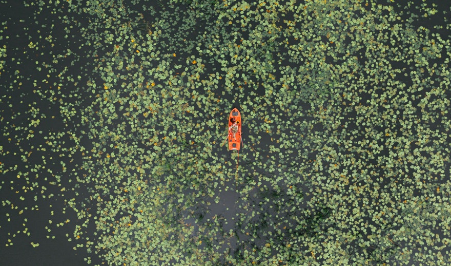 AARNet from local to global boat in water lillies