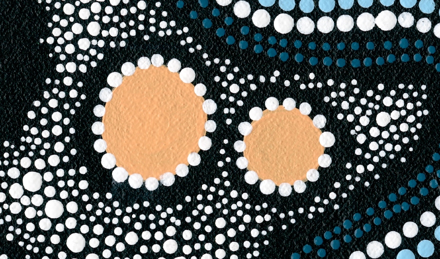 AARNet Reflect Reconciliation Action Plan 2025 - Values