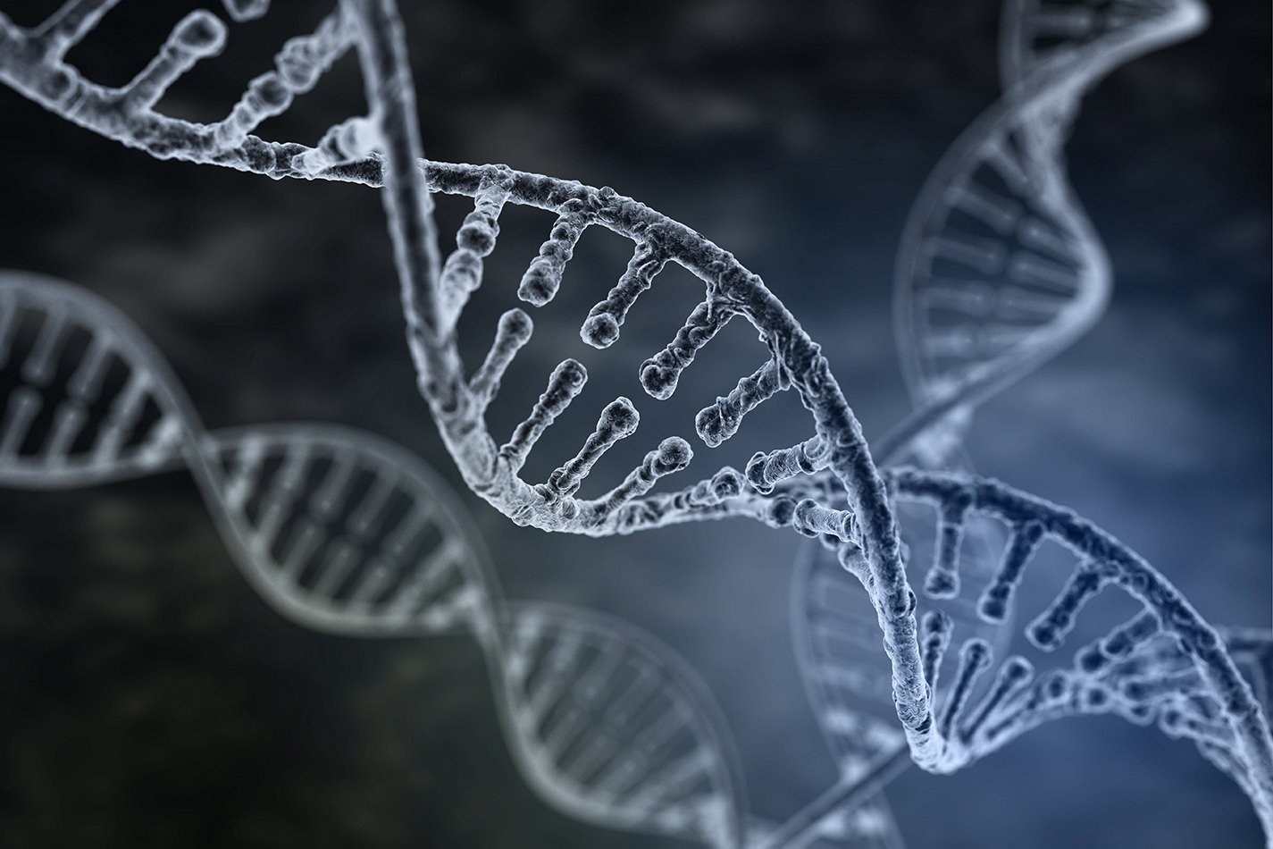DNA strand
