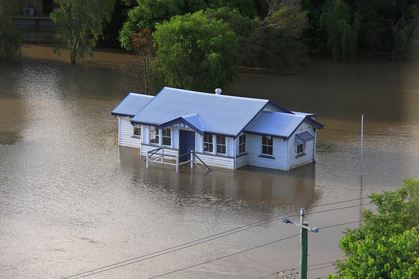 Fight climate change