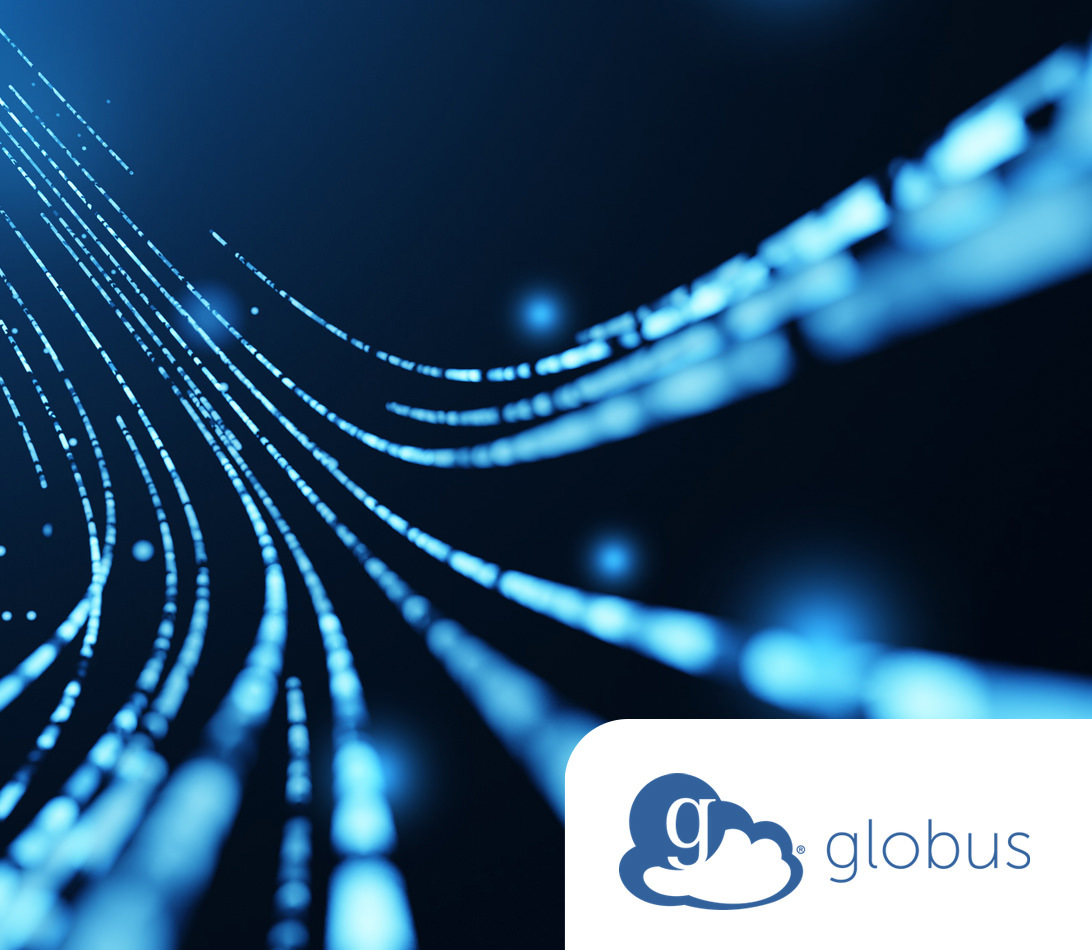 Globus Data Movement data visualisation