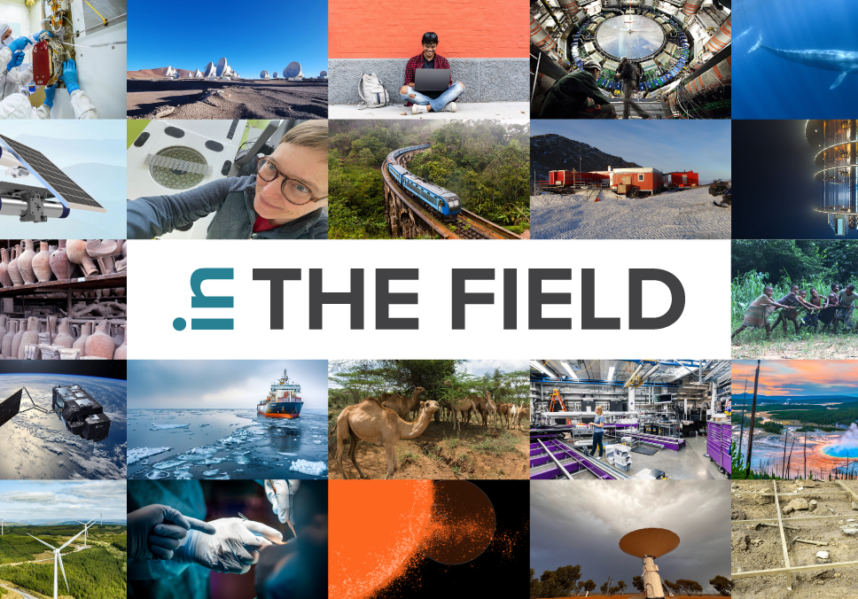 In The Field Stories