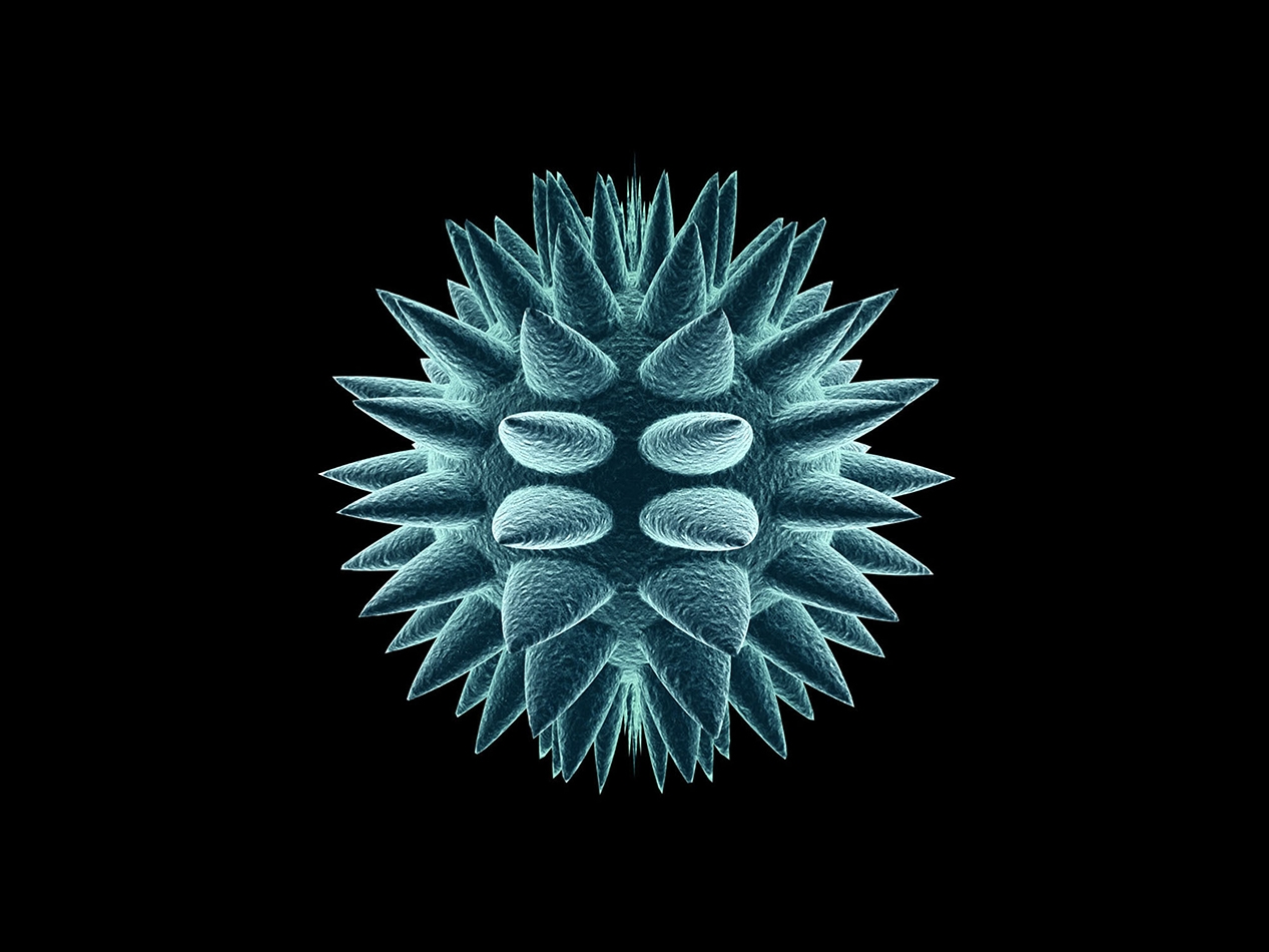 Kidney disease breakthrough