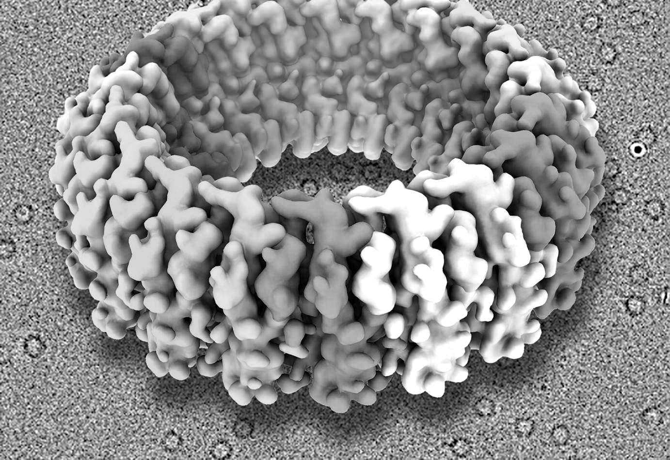 Large scale research