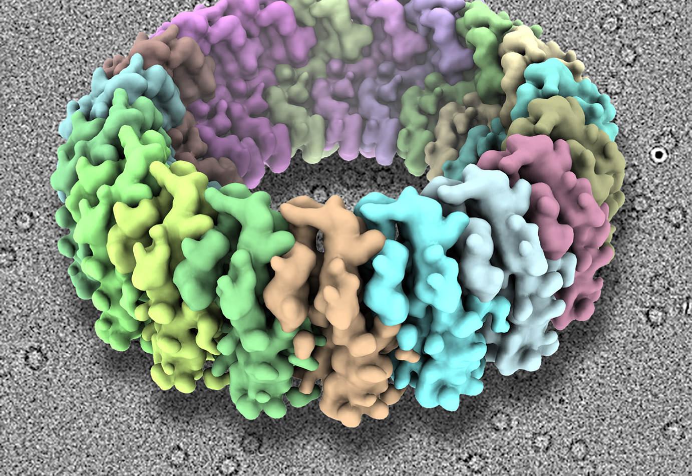 Large scale research