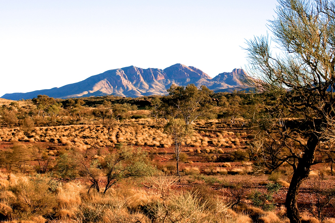 Manage future impacts climate change