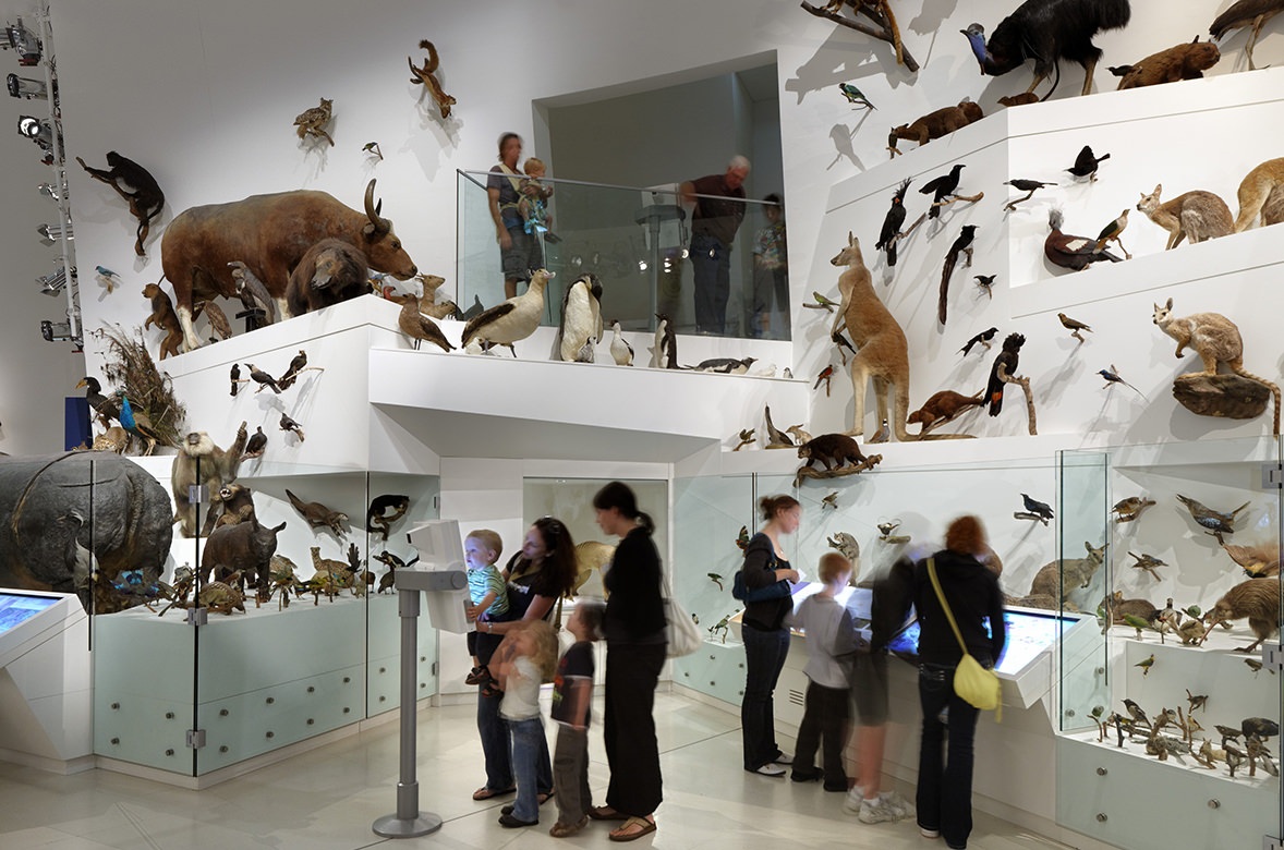 Melbourne Museum